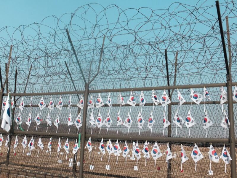 From Seoul: Private DMZ and Odusan Observatory Full-Day Tour - Tour Inclusions