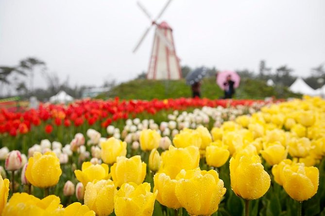 From Seoul: Taean Tulip Festival & Strawberry Picking Day Tour - Good To Know
