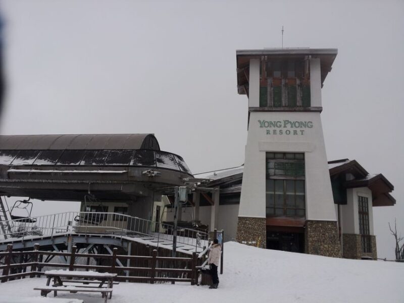 From Seoul: Yongpyong Ski Day Tour With Transportation - Activities and Experiences