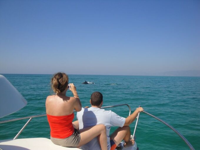 From Sesimbra: Arrábida Dolphin Watching Boat Tour - Customer Ratings and Feedback