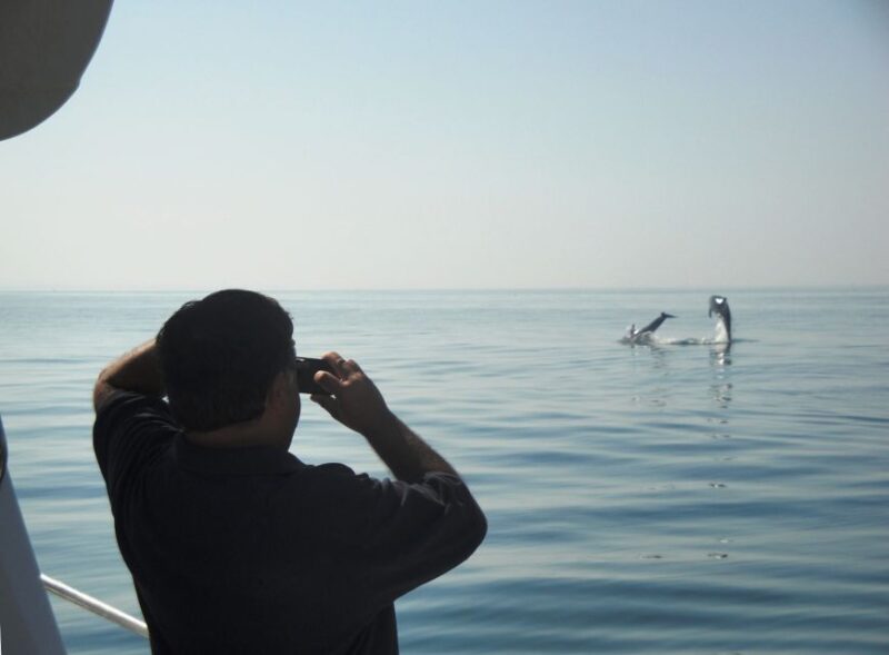 From Sesimbra: Arrábida Dolphin Watching Boat Tour - Departure and Return Locations