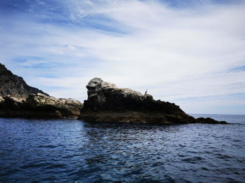 From Sesimbra: Ribeira Do Cavalo Beach and Caves Boat Tour - Important Information