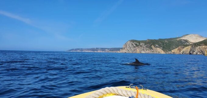 From Sesimbra: Ribeira Do Cavalo Beach and Caves Boat Tour - Frequently Asked Questions