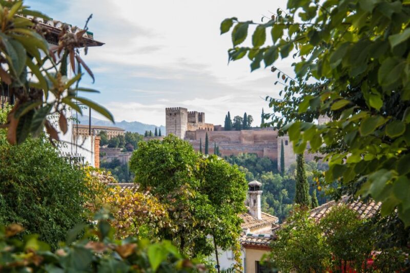 From Seville: Alhambra & Albaicín Private Tour - Exploring Nasrid Palaces