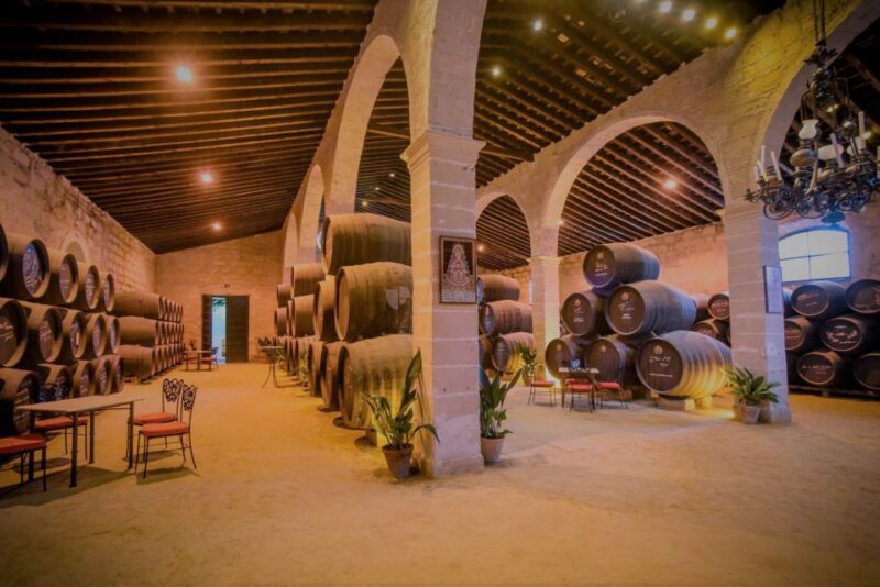 From Seville: Cadiz and Jerez De La Frontera Day Trip - Exploring Cadizs Historic Center