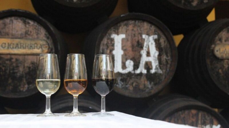 From Seville: Cadiz & Jerez Sherry Tasting Day Trip - Jerez: Capital of Spanish Sherry