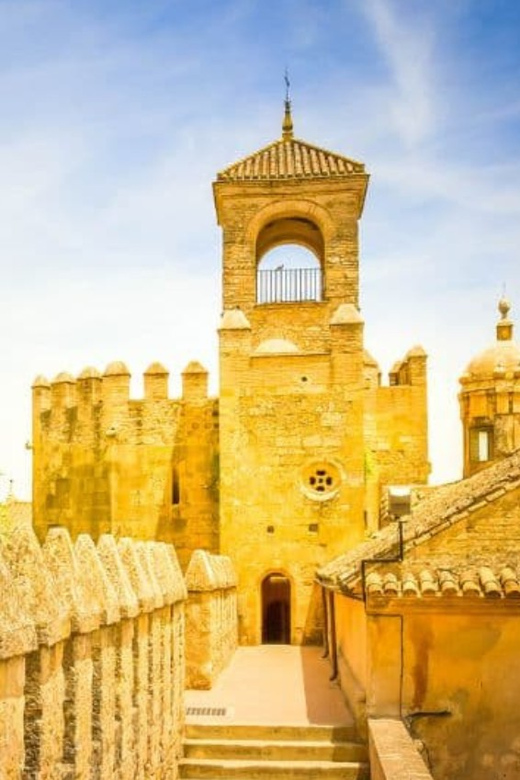 From Seville: Cordoba Private Day Trip - Experience and Benefits