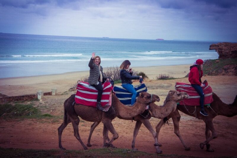 From Seville: Day Trip to Tangier With Guide and Meal - Itinerary and Activities