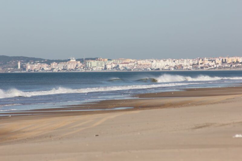 From Seville: Doñana National Park Full-Day Private Tour - Guided Tour of Doñana National Park