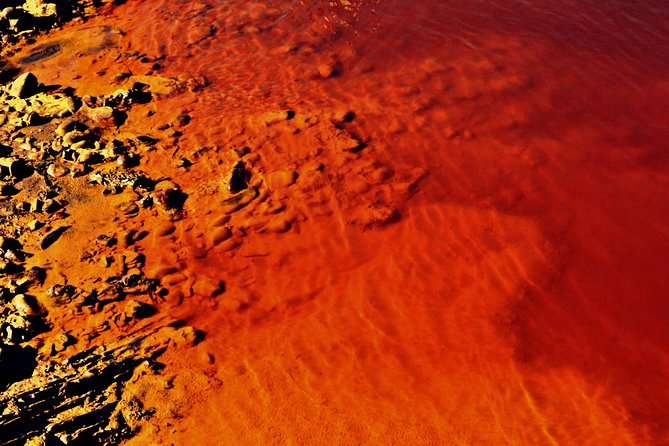 From Seville: Expedition To Mars Private Full-day Tour - Meeting and Pickup