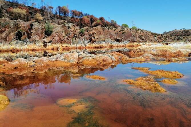 From Seville: Expedition To Mars Private Full-day Tour - Tour Highlights