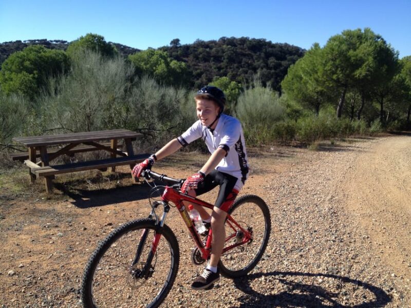 From Seville: Half-Day Guided Bike Trip to Italica - Participant Suitability