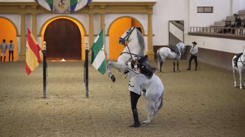 From Seville: Jerez, Cádiz and Andalusian Horses - Key Points