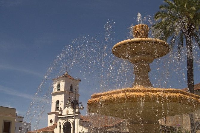From Seville: Merida Private Full Day Tour - Highlights of the Tour