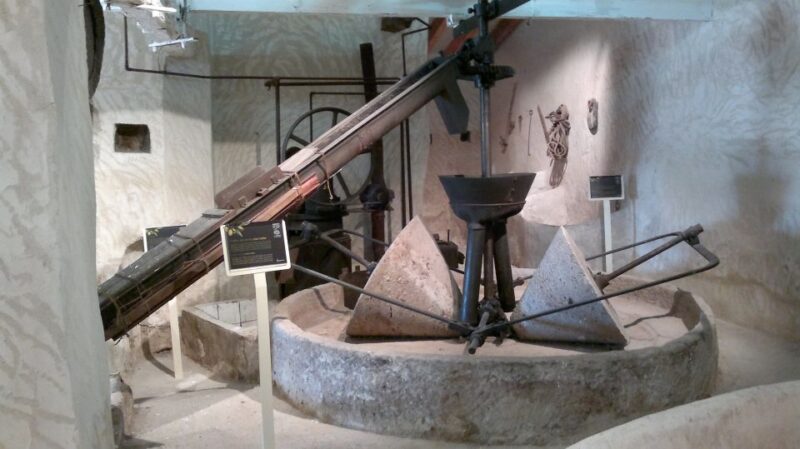 From Seville: Olive Oil Farm Tour - Learning the Production Process