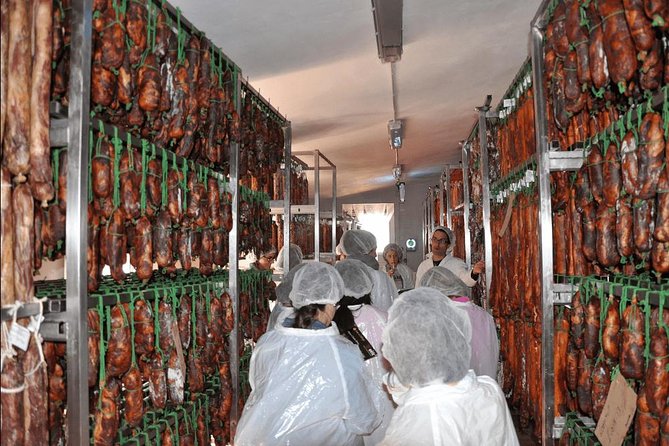 From Seville: Pig Farm Private Day Tour and Old Villages Visit - Discovering the National Park of Aracena