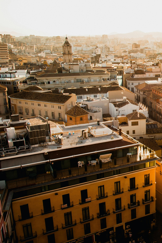 From Seville: Private Excursion to Malaga With Entrance Fees to Monuments - Alcazaba of Malaga