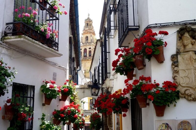 From Seville: Private Transfer to Granada and Cordoba Tour - Key Points