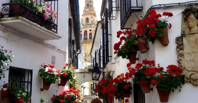 From Seville: Private Transfer to Granada and Cordoba Tour - Customizing the Itinerary