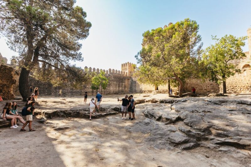 From Seville: Pueblos Blancos and Ronda Full-Day Trip - Discovering Molino El Vínculo
