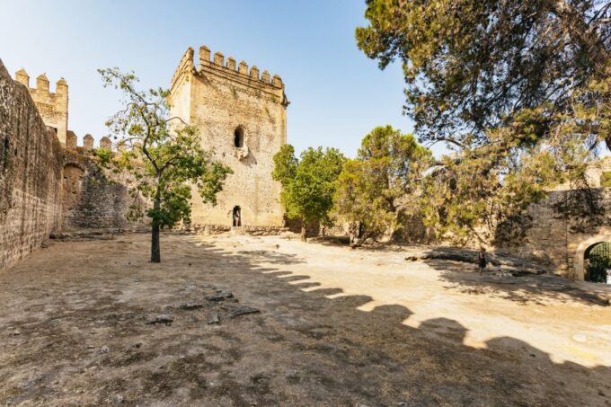 From Seville: Pueblos Blancos and Ronda Full-Day Trip - Inclusions and Exclusions