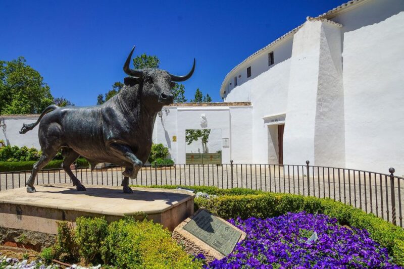 From Seville: Ronda and Setenil De Las Bodegas Private Tour - Key Points