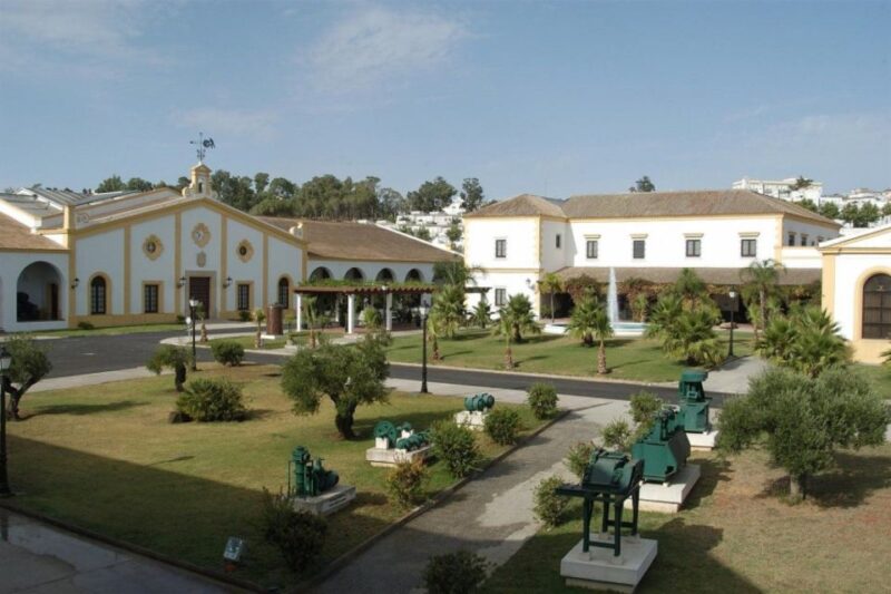 From Seville: Tour of Jerez With Horse Show & Wine Tasting - Discover Andalucias Traditions