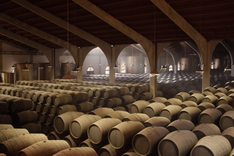 From Seville: Tour of Jerez With Horse Show & Wine Tasting - Equestrian Show Highlights