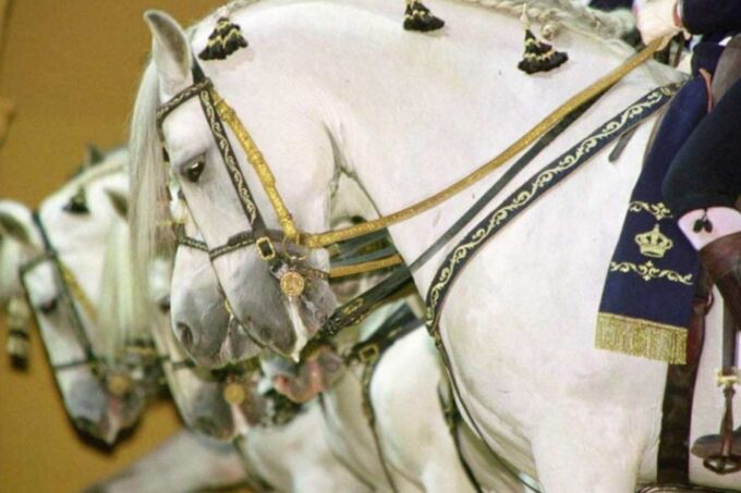 From Seville: Tour of Jerez With Horse Show & Wine Tasting - Included in the Tour