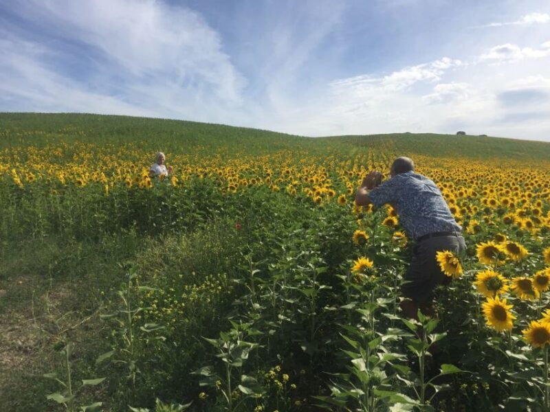 From Seville: White Villages Tour - Sevillian Countryside