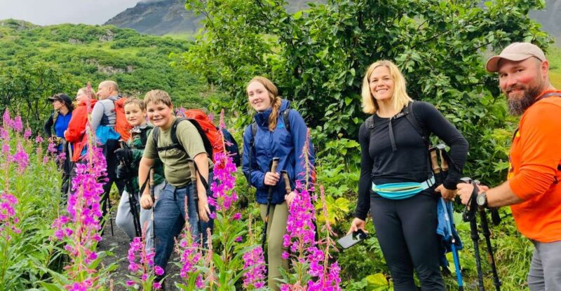 From Seward: 4-hour Wilderness Hiking Tour - Customer Feedback