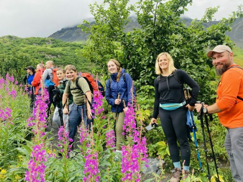 From Seward: 6-hour Wilderness Hiking Tour - A Deep Dive into the Wilderness Hike