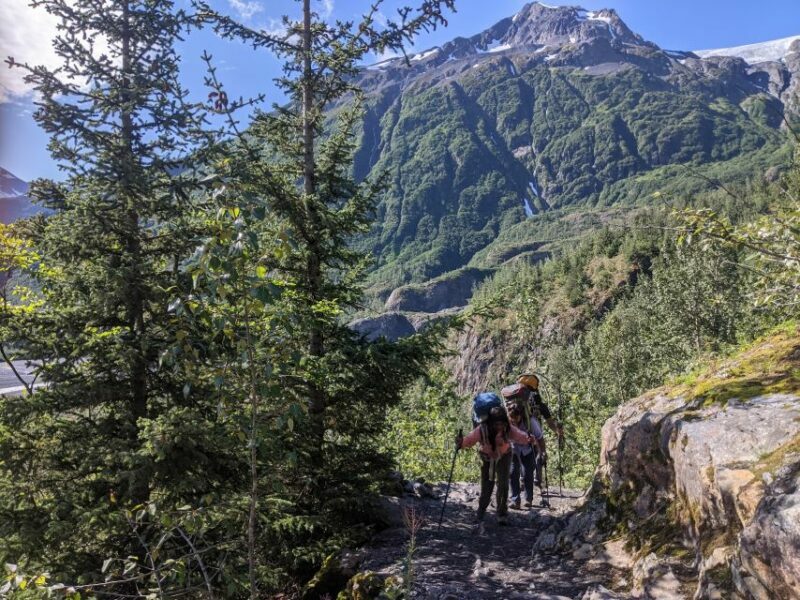 From Seward: 6-hour Wilderness Hiking Tour - Authentic Alaska in Every Step