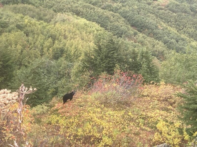 From Seward: 6-hour Wilderness Hiking Tour - Final Thoughts
