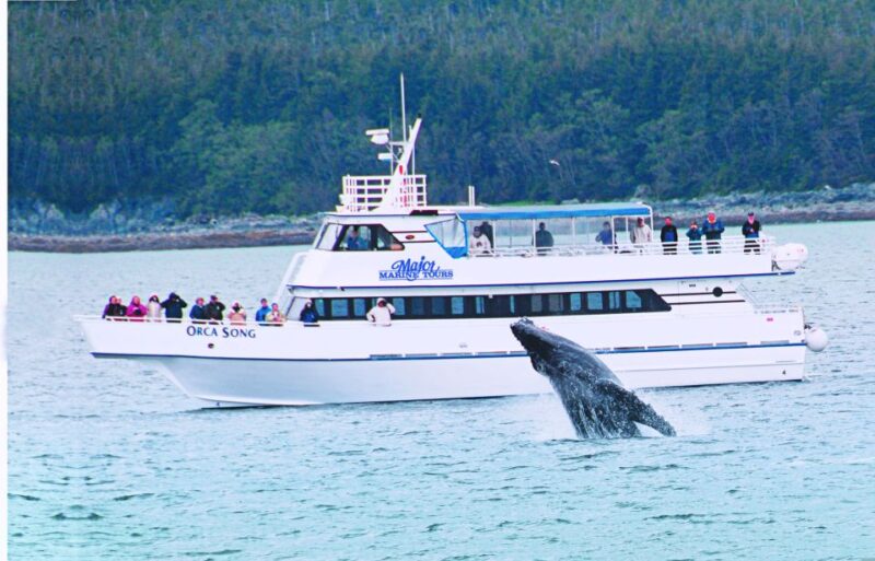 From Seward: Half-Day Resurrection Bay Wildlife Cruise Tour - Wildlife Highlights