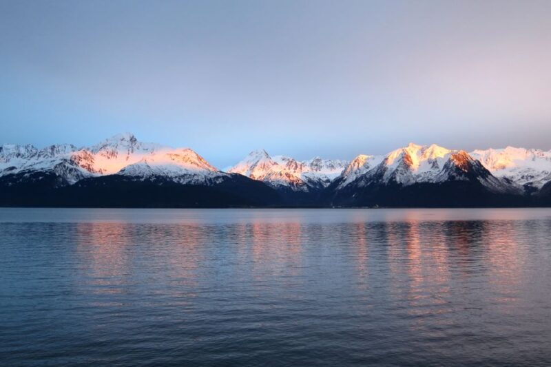 From Seward: Half-Day Resurrection Bay Wildlife Cruise Tour - Cruise Experience