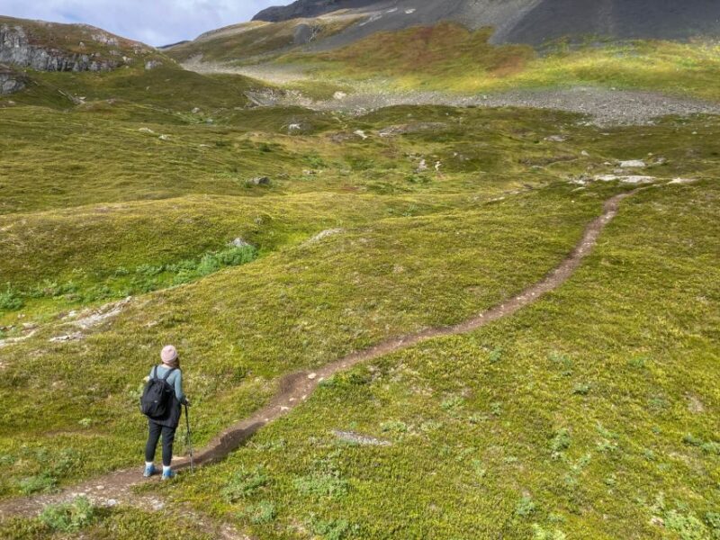 From Seward: Harding Icefield Trail Hiking Tour - Whats Included