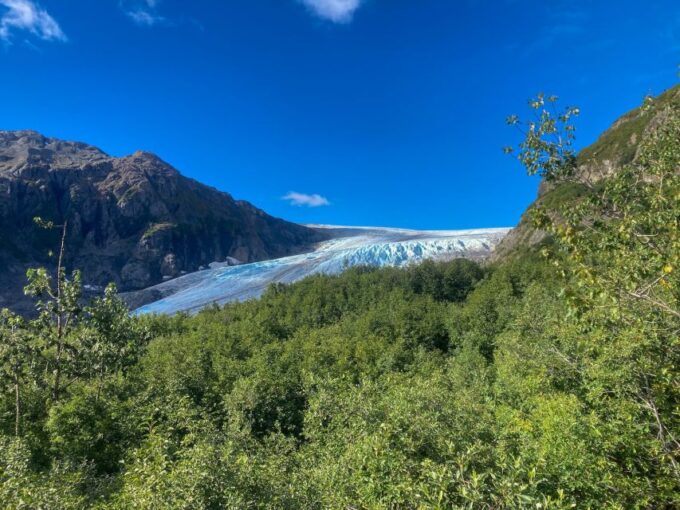 From Seward: Harding Icefield Trail Hiking Tour - Customized Tour Experience