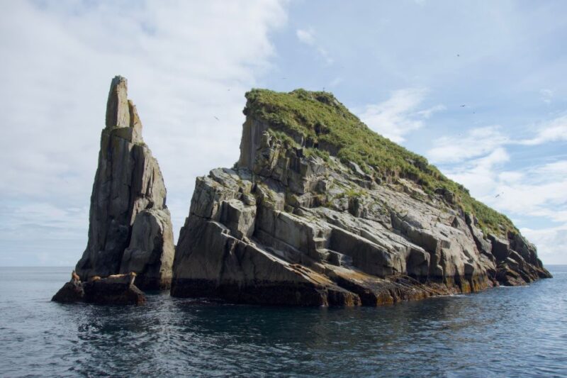 From Seward: Kenai Fjords National Park Cruise With Lunch - Glacier Experiences and Potential Calving