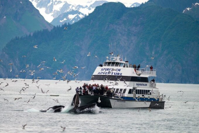 From Seward: Kenai Fjords National Park Cruise With Lunch - Customer Ratings and Feedback