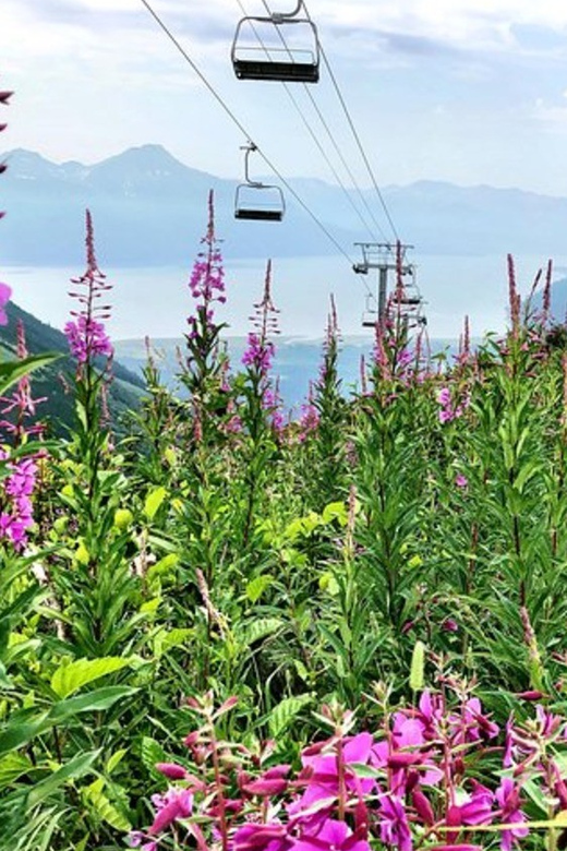 From Seward or Whittier: Guided Craft Tour and Ship Transfer - Inclusions