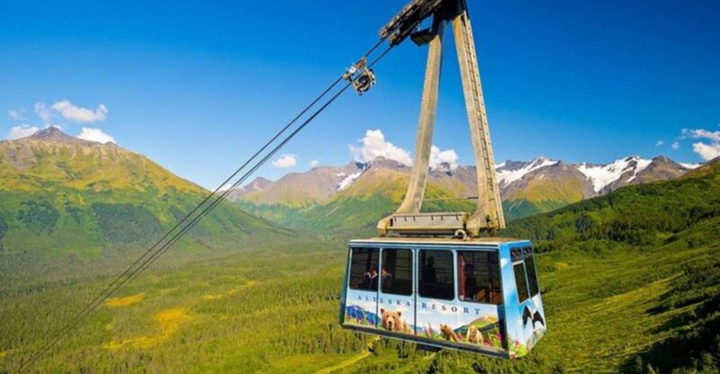 From Seward or Whittier: Guided Craft Tour and Ship Transfer - Experience Highlights
