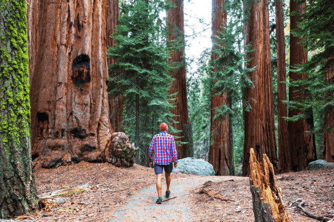 From SF: Alcatraz Day Tour, Muir Woods Visit & Wine Tasting - Important Tour Information