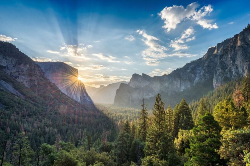From Sf: Yosemite Day Trip With Giant Sequoias Hike & Pickup - Picnic and Photo Opportunities