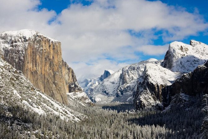 From SFO-Yosemite National Park-Enchanting Full Day Tour in SUV - Exploring Yosemite National Park