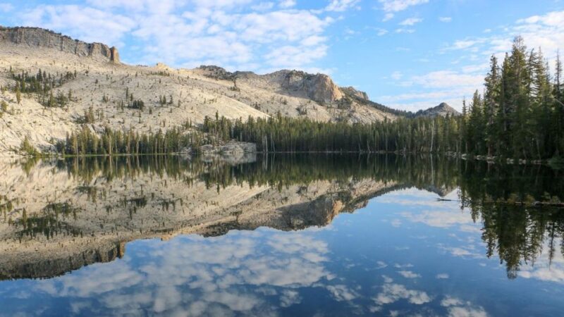 From SFO-Yosemite National Park-Enchanting Full Day Tour - Tour Experience