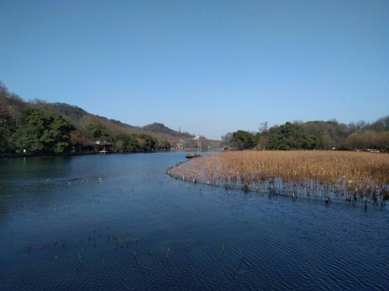 From Shanghai: Full-Day Private Hangzhou Tour - Itinerary Highlights