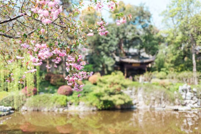 From Shanghai: Suzhou Private Full-Day Trip by Car - Tour Language and Experience
