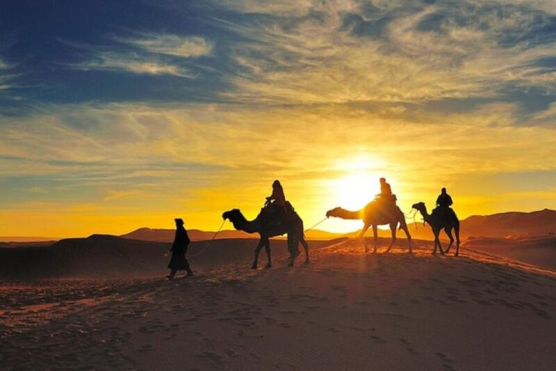 From Sharm El Sheikh: Bedouin Village, Camel Ride & Dinner - Participant Information