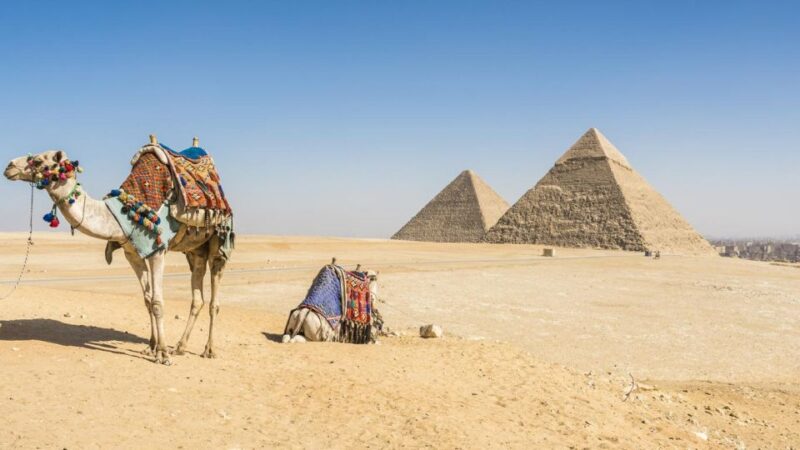 From Sharm El Sheikh: Cairo Private Day Trip by Plane - Transportation Details